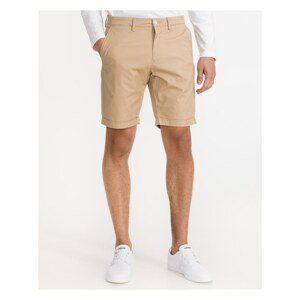 D2. Regular Sunfaded Gant Shorts - Men