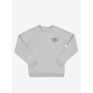Light Grey Boys Sweatshirt Quiksilver Wild Cars Crewy - unisex