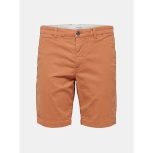 Brown Chino Shorts Selected Homme Chester - Men