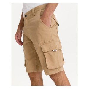 Cargo Shorts Tommy Jeans - Men