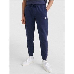 Tommy Jeans Dark Blue Men's Sweatpants - Mens