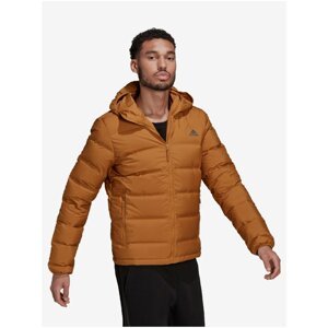 Brown Men's Jacket adidas Performance - Men's