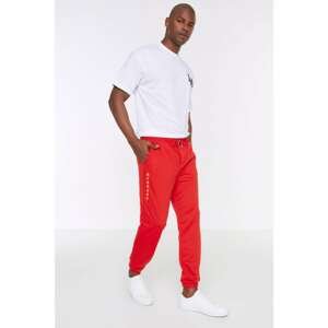 Trendyol Red Men's Regular Fit Printed Sweatpants