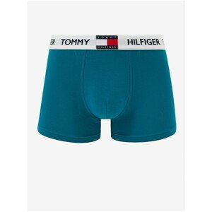 Blue Men's Boxers Tommy Hilfiger - Men