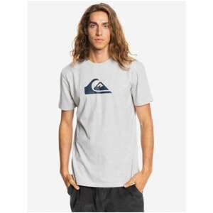 Light Grey Men's T-Shirt Quiksilver Complogoss - Men's