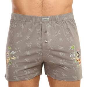 Men's shorts Andrie gray (PS 5543 C)