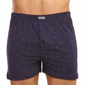 Men's shorts Andrie blue (PS 5605 C)