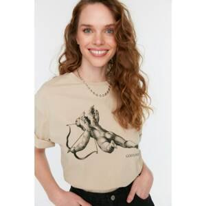Trendyol Stone Printed Loose Knitted T-Shirt