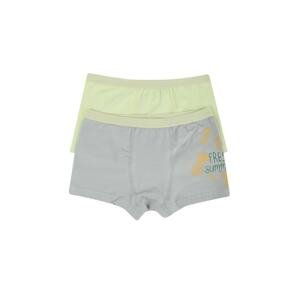 Trendyol Gray-Mint Printed 2-Pack Boy Knitted Boxer