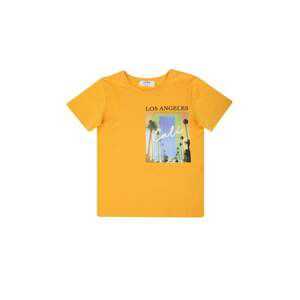 Trendyol Orange Printed Boy Knitted T-Shirt