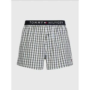 Tommy Hilfiger Multicolor Men's Shorts (UM0UM01827 0GD)