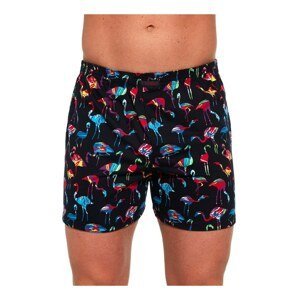 Men's shorts Cornette Classic multicolor (001/117)