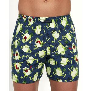 Men's shorts Cornette Classic multicolored (001/116)