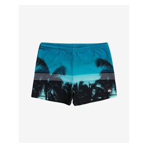 Everyday Swimwear Quiksilver - Mens