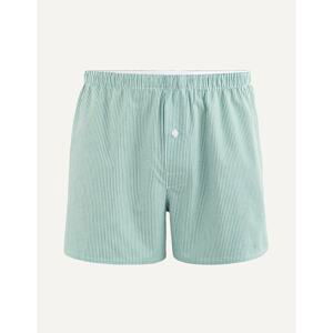 Celio Striped Shorts with Ash Bin - Men