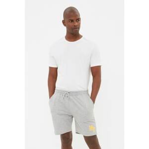 Trendyol Gray Men's Regular Fit Mid-Length Shorts & Bermuda
