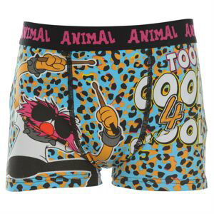 Disney Animal Single Boxers Infant Boys