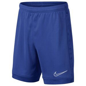 Nike Shorts Junior Boys