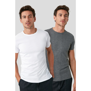 Trendyol Multi-colored Male 2 is an American Basic Package T-shirt