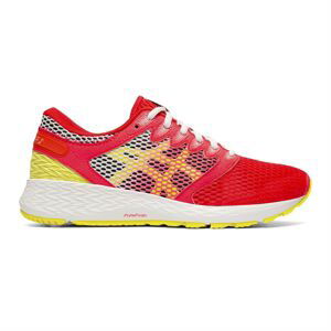 Asics Roadhawk 2 FF Trainers Ladies