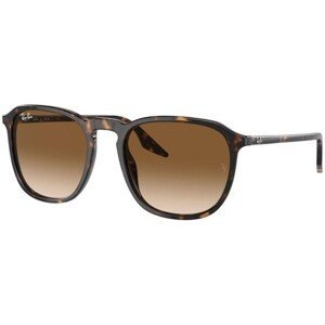 Ray-Ban RB2203 902/51 - L (55)