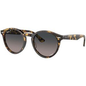 Ray-Ban Larry RB7680S 1332GL Polarized - M (49)