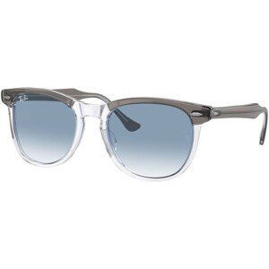 Ray-Ban Eagleeye RB2398 13553F - M (53)