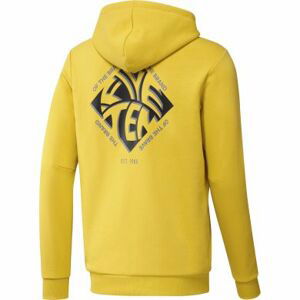 Mikina FiveTen GFX Hoodie Haziel M