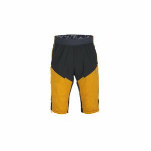 kraťasy Direct Alpine Logan Alpha mango/anthracite L