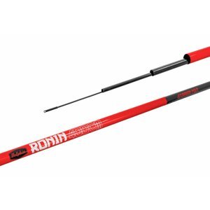 Delphin prut RONIN 6m