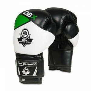 BUSHIDO SPORT Boxerské rukavice DBX BUSHIDO B-2v6 Veľkosť: 10 oz