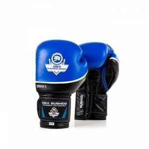 BUSHIDO SPORT Boxerské rukavice BUSHIDO DBD-B-2v2 Veľkosť: 12 oz