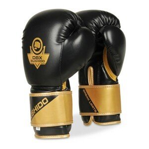 Boxerské rukavice DBX BUSHIDO B-2v10 Veľkosť: 10oz