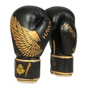 Boxerské rukavice DBX BUSHIDO B-2v17 Veľkosť: 12oz.