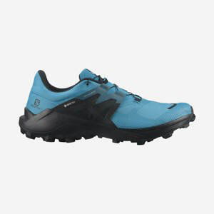 Salomon obuv Wildcross 2 Gtx reef blac  blue Velikost: 10.5