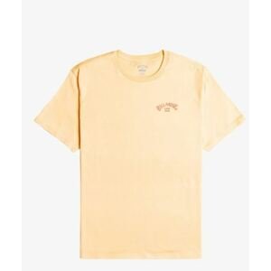 Billabong tričko Arch Wave SS dusty melon Velikost: XL