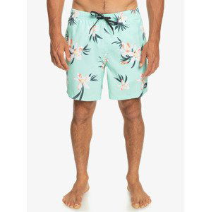 Quiksilver šortky Everyday Mix Volley 17 beach glass Velikost: L