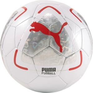Lopta Puma  PARK ball