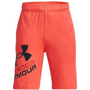 Šortky Under Armour UA Prototype 2.0 Logo Shorts-ORG