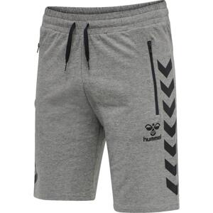 Šortky Hummel RAY 2.0 SHORTS