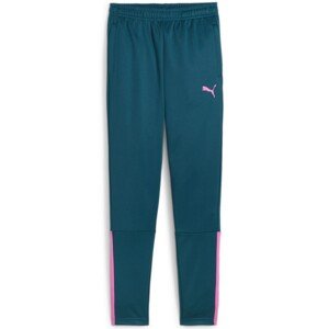 Nohavice Puma teamLIGA Training Pants Jr