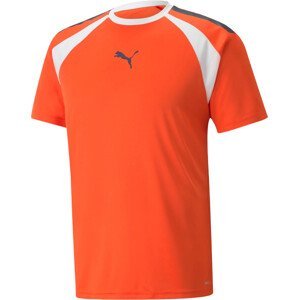 Tričko Puma teamLIGA Multisport Shirt