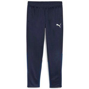 Nohavice Puma teamGOAL Training Pant