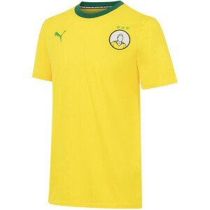 Tričko Puma  KING Pele T-Shirt