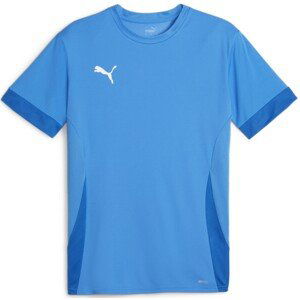 Dres Puma teamGOAL Matchday Jersey