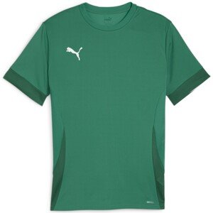 Dres Puma teamGOAL Matchday Jersey