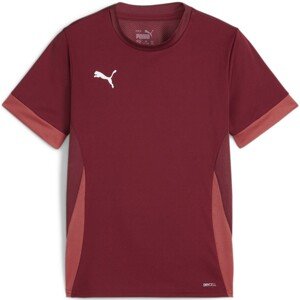 Dres Puma teamGOAL Matchday Jersey jr