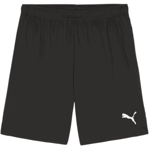 Šortky Puma teamGOAL Shorts