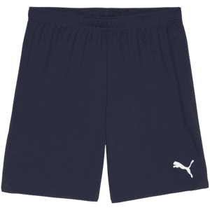 Šortky Puma teamGOAL Shorts
