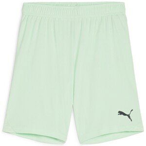 Šortky Puma teamGOAL Shorts Jr